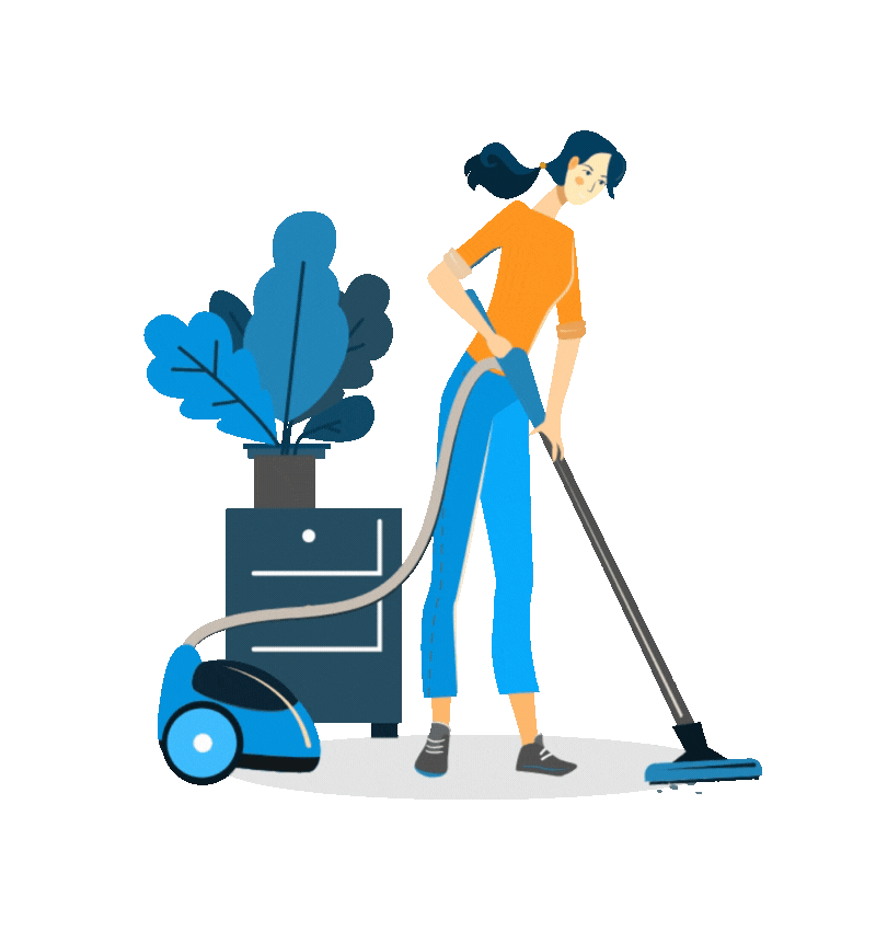 Cleaning Lady Cleaning Lady